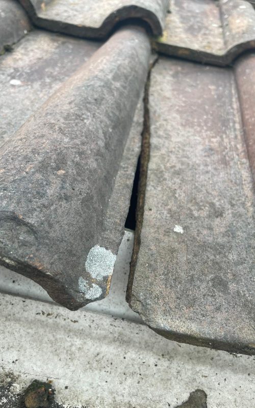 WhatsApp Image 2025-10-09 at 10.45.03