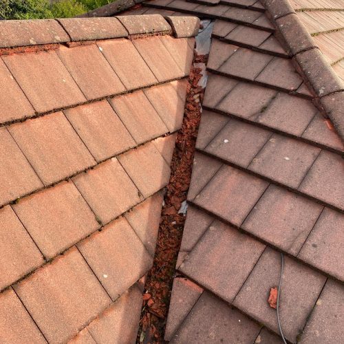 WhatsApp Image 2025-11-03 at 13.06.22 (1)