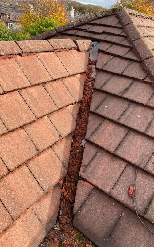 WhatsApp Image 2025-11-03 at 13.06.22 (1)